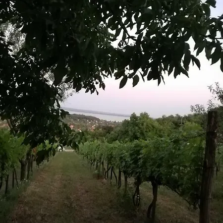 Panorama Jurta Tente de luxe
