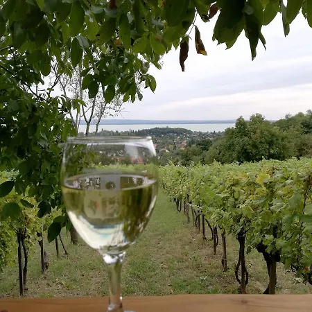 Tente de luxe Panorama Jurta Ábrahámhegy