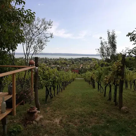 Panorama Jurta Tente de luxe